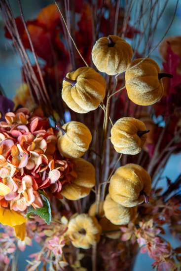 AUTOMNE